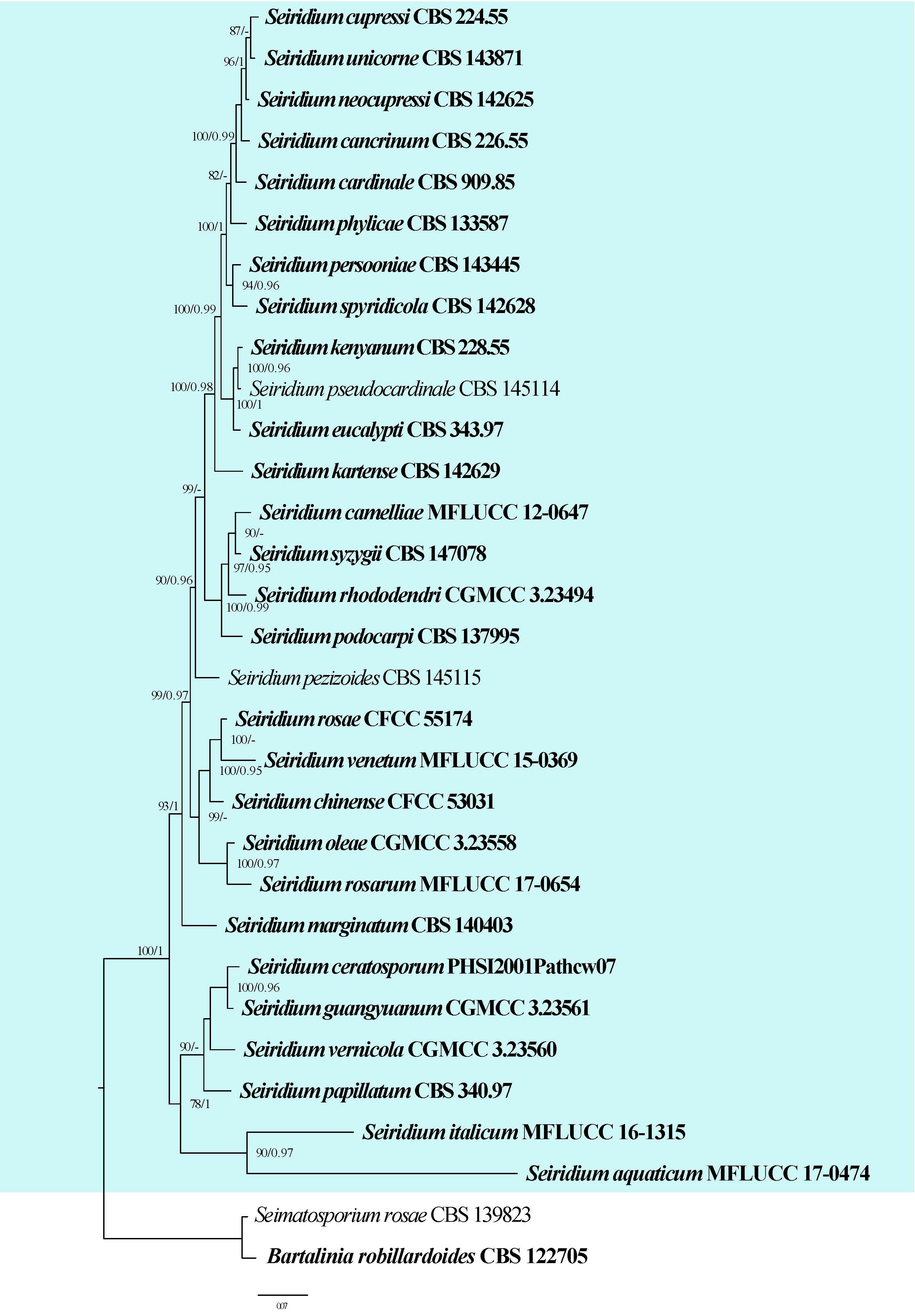 Figure 44